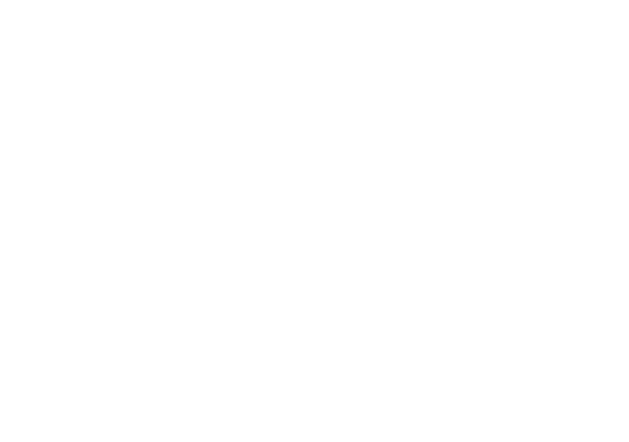 roof care specialists logo upscaled white